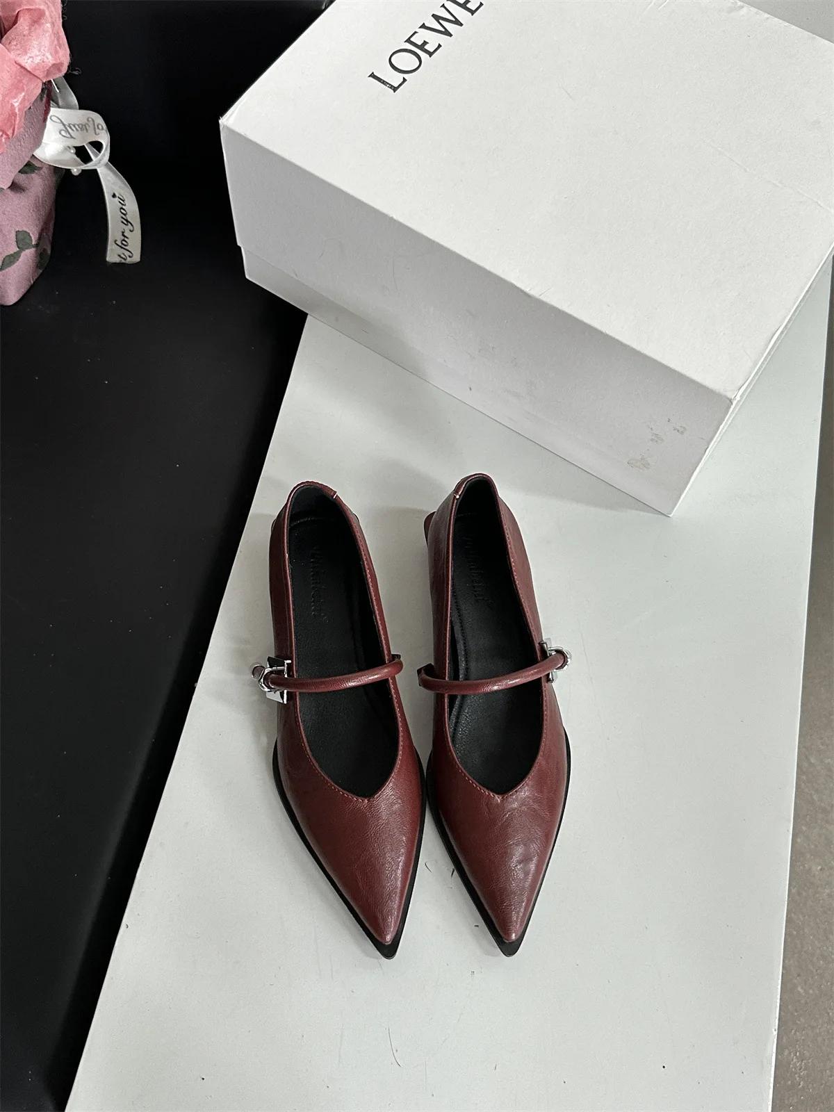 

Sexy Pointed Toe Soft Leather Women Shoes Noveity Metal Buckle Design Mary Jane Shoes for Women Elegant Square Heel Dress Shoes 39
