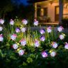 6/8 Head Butterfly Solar Garden Lights Waterproof Solar Landscape Lights  Lawn Lighting