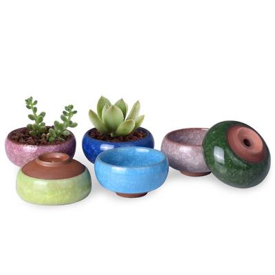 Niedlicher Sukkulenten-Pflanztopf Eisriss-Glasur Blume Keramiktopf Blumentopf Dekoration