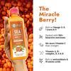 NutriOrg Czysty Sok z Rokitnika 500 ml | 100% Puree z Jagód Himalajskich | Omega 3,6,7,9 i Witamina C | Najlepszy dla Odporności i Bogaty w Antyoksydanty | Bez Dodatku