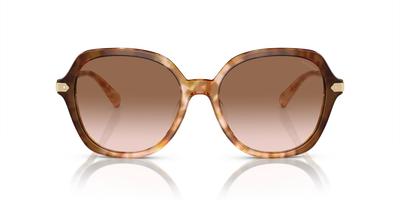Gafas de Sol HC8377U CL925 CARAMEL SNOW TORTOISE GRADIENT 55 de Mujer