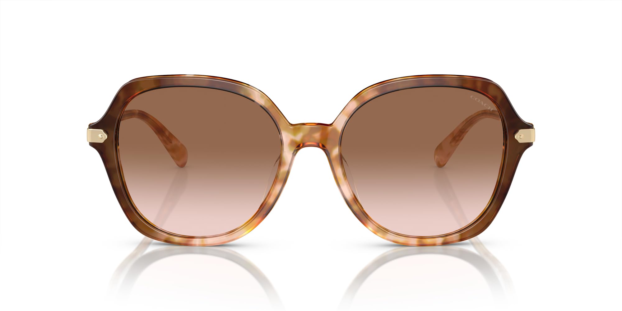 

Coach Солнцезащитные очки HC8377U CL925 КАРАМЕЛЬНЫЙ СНЕЖНЫЙ ЧЕРЕПАХОВЫЙ ГРАДИЕНТ 55 Женские