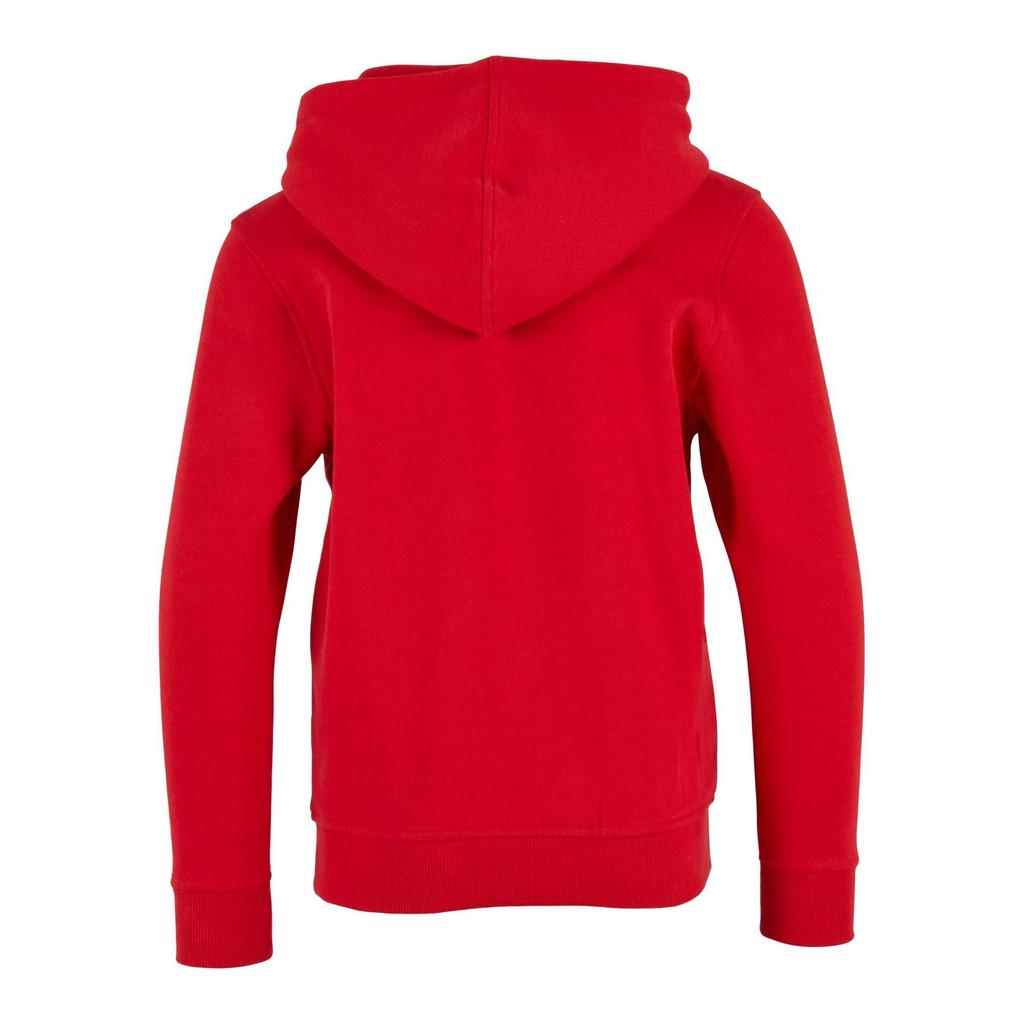 Build Your Brand Childrens/Kids Basic Organic Hoodie