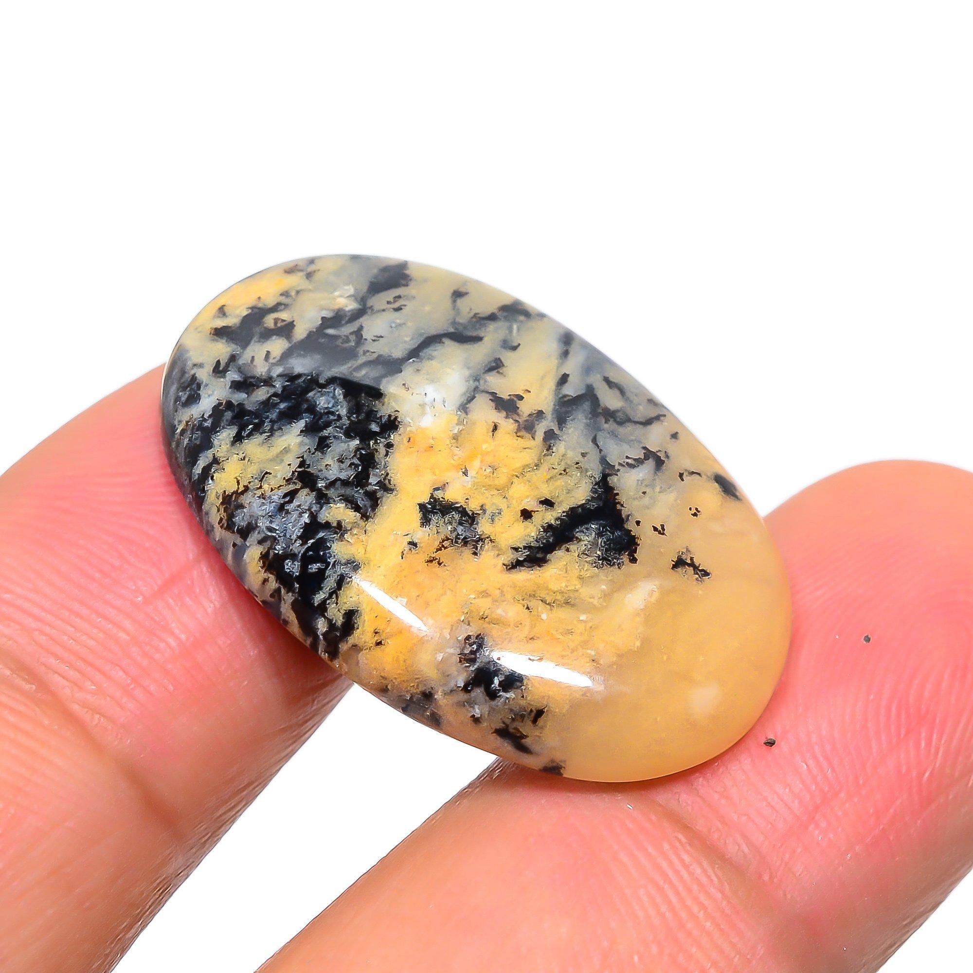 

Russian Dendritic 1.9x2.9mm Natural Cabochon Fine Loose 24.95Cts. D3P17 разноцветный