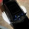 Universal Angel Wing Carpet Projection Light Decoration Exterior Projection Rearview Mirror Angel Wings LED Light Welcome Light