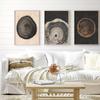 Set of 3 Tree Ring Wall Art Prints - Minimalist Abstract Decor - Matte Finish, Frameless Design, Perfect for All Seasons