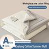 Xinjiang Cotton Summer Comforter