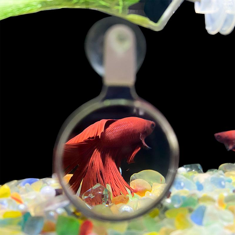 Aquarium Magnifier Fish Tank Viewer Magnifying Glass Small Animal Suction Accessories Plant Observation Magnifying