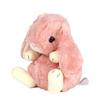 Usagi no Ropp Y Plush S: Pink One Size