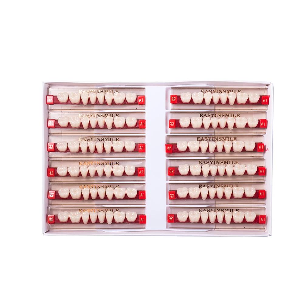 16/12 Sätze/Karton Zahnprothese Zähne Oberkiefer Frontzähne Unterkiefer Seitenzähne Dentier Synthetisches Polymerzähne Zahnmedizinische Ausbildungsmodell