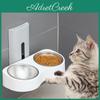 Pet Bowl Mounted Double Wall Cat Feeder Drinker Hanging Dog Food Water Bowl Adjustable Height Indoor Cat Dog Bowls Pet Supplies