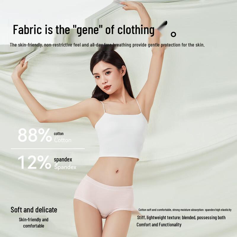 Etam Women's Seamless Combed Cotton Mid-Rise Briefs (3-Pack)