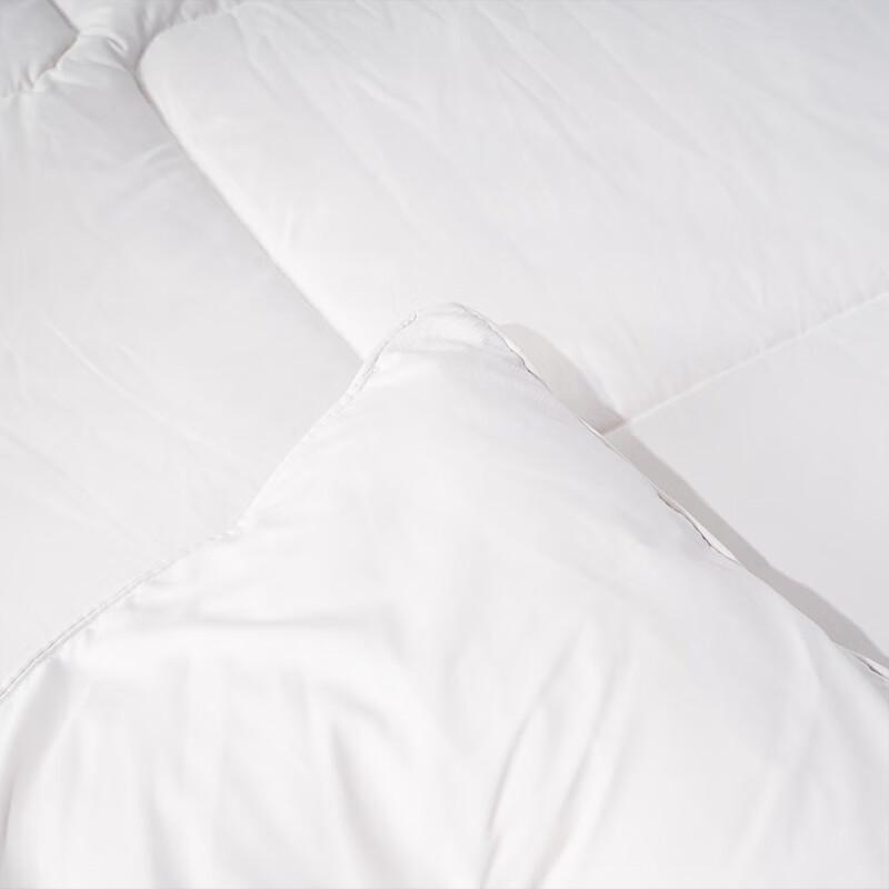 Lai Shenghuo 100% New Zealand Wool Quilt