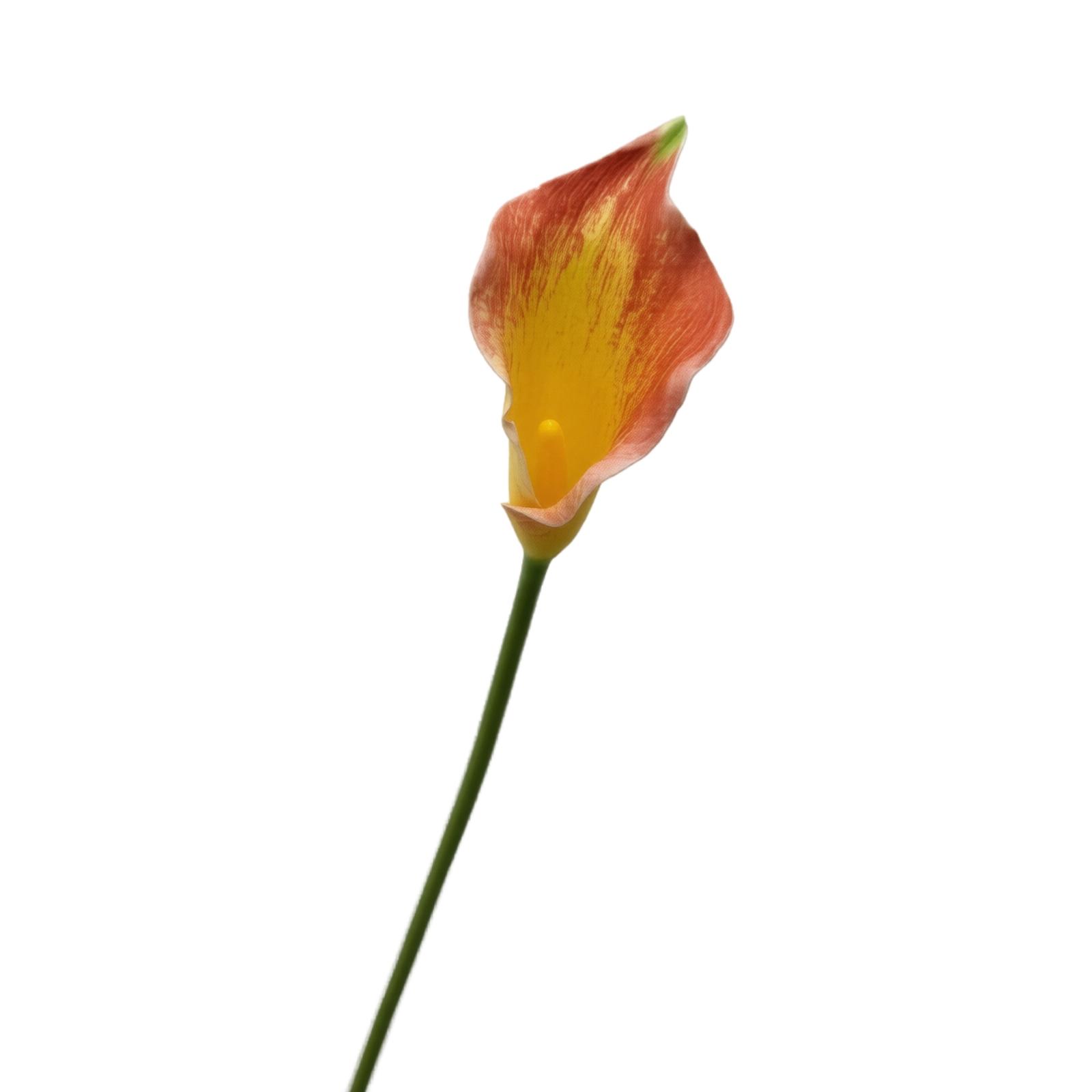 

Artificial Calla Lily Flower Stem EVA Foam Material Realistic Texture Single Stem for Home Office Wedding Decoration Floral Arrangement One Size оранжевый