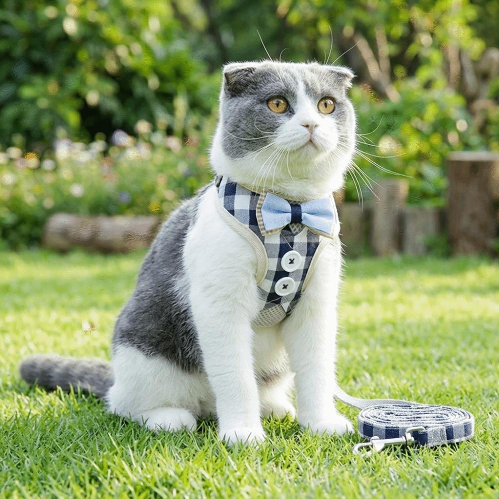 Adjustable Strap Cat Harness Set Adjustable Cat Leash Kitten Daily Activity