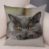 Cute Pet Animal Print Pillowcase Funny  Cat  Decoration Car Sofa Home Cushion Cover