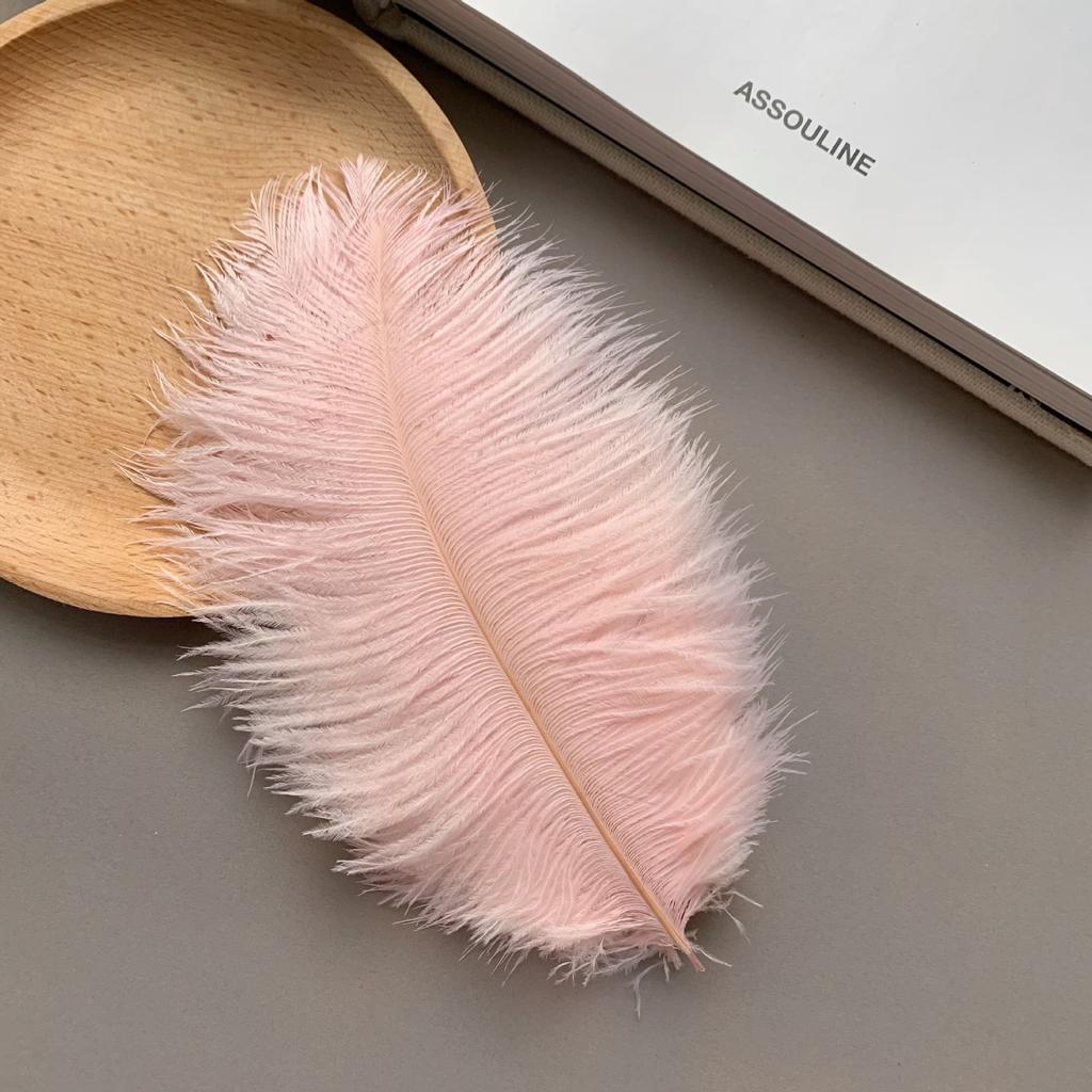 Color ostrich hair 15-20CM ostrich feather Internet celebrity photo background wall feather cake flower arrangement DIY decoration
