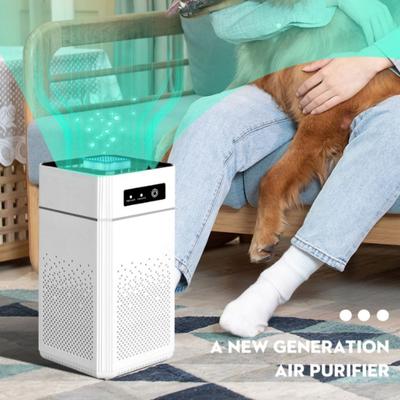 Negative Ion Air Purifier H13 Grade Filter Portable Air Purifier Odor Filter  Indoor Use