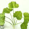 Simulate Bundling Turtle Back Leaves Spring Rain Bamboo Taro Green Plants Fake Flowers Home Decoration Wedding Ornaments Feeling