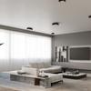 Mono 2 black ceiling lamp