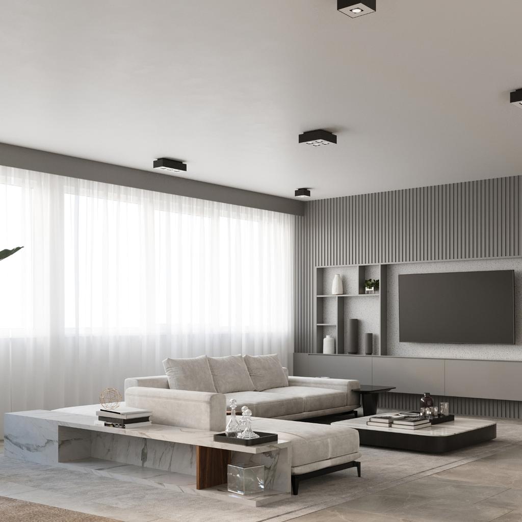 Mono 2 black ceiling lamp