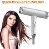 High Quality Professional Salon Hair Dryer with Diffuser Nozzle EU Plug Quick Drying and High Power for Hotels and Home Use