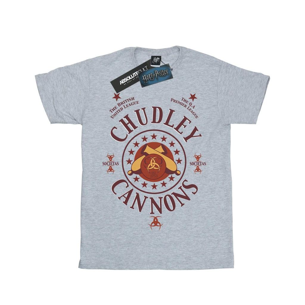 Harry Potter Boys Chudley Cannons Logo T-Shirt
