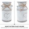 2pcs Metal Flower Vase Galvanized Milk Can Watering Jug,Rustic Plant Holder Farmhouse Flower Vase Pot for Home Office Garden Decor Indoor and Outdoor