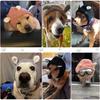 (Black)Quiet Ears for Dogs, Dog Ear Muffs Noise Protection Knitted Dog Hats Pet Ears Warm Dog Ear Cover Winter Hat Dog Snood Head Wrap Bunny Costume f