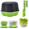 Home Garden Hydroponic Peanut Sprout Box Bean Pea Wheat Seedling Sprouter Tray Cat Grass Grow Germination Soilless Planting Pot