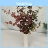 Faux Eucalyptus Money Leaf Stems For Indoor Outdoor Wedding Gift Decoration