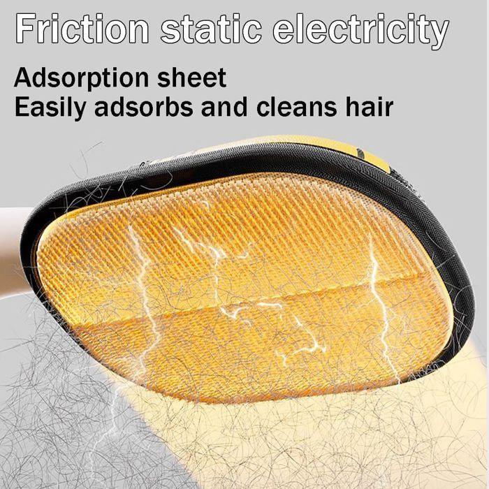 Gants de Toilettage Double Face Antistatiques, Épilation Douce Poils Animaux, Réutilisables Nettoyage Canapé Tapis Auto – 2PCS