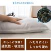 Made In Japan, Buckwheat Pillow, All Buckwheat, Approx. 35 X 55 Cm, Comes with a Firm, Washable Pillowcase, Breathable, Moisture-Wicking, Colors and
