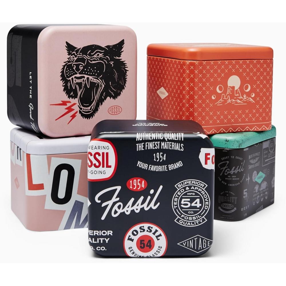 FoSSil Women S eS5305 Raquel Watch Silver Gold Multicolor eS5305