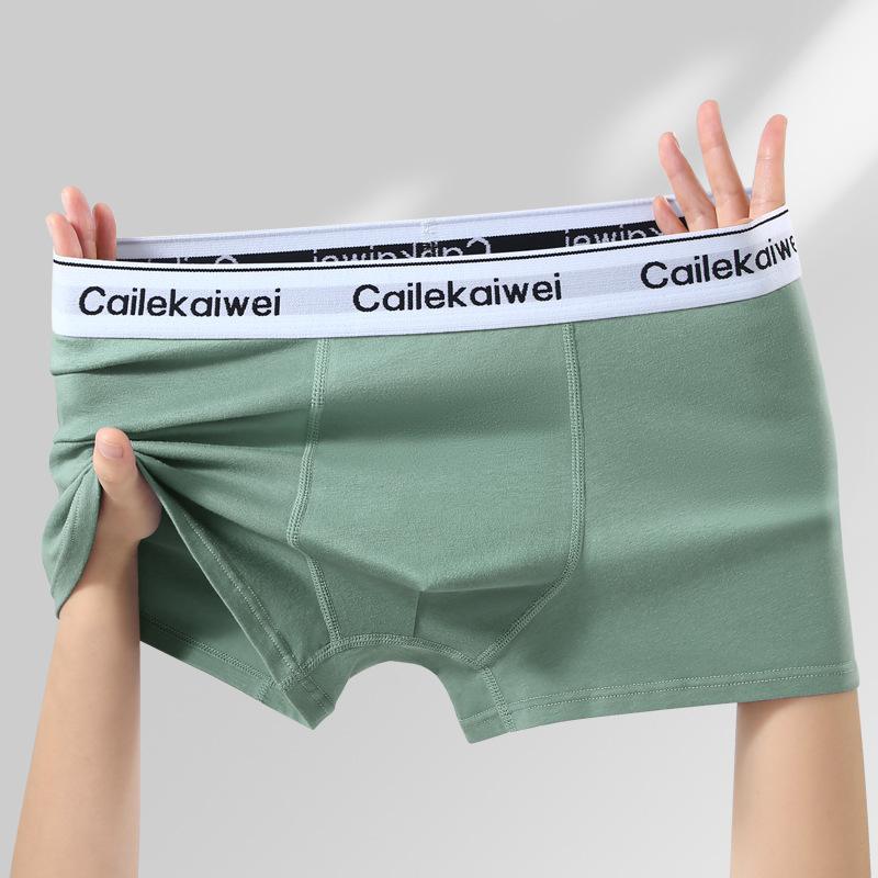 Large Size Men's Spring and Summer Cotton Anti Bacterial Breathable Youth Flat Angle Underwear
