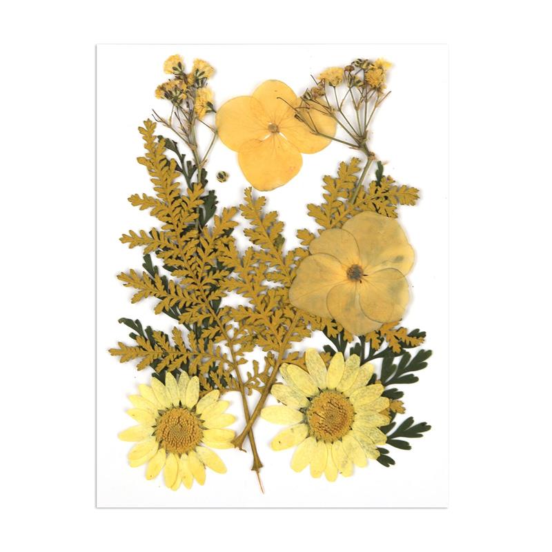 

Классическая комбинация сухоцветов, маленькая упаковка, сухие растения для заливки в формы из эпоксидной смолы, украшения для ногтей своими руками