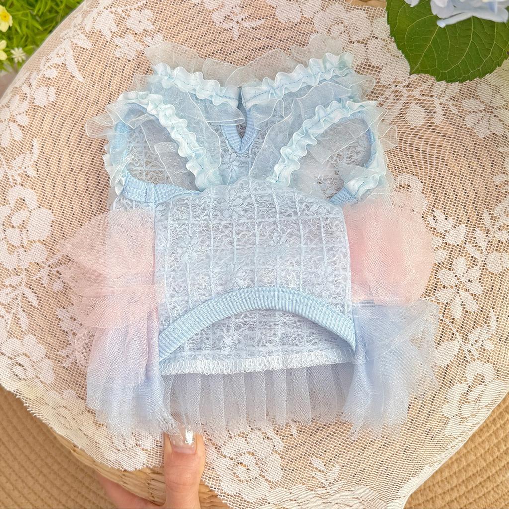 Summer New Pet Chiffon Dress Small Pet Clothing Bichon Frise Pomeranian Dog Fairy Dress Pet Cat and Dog