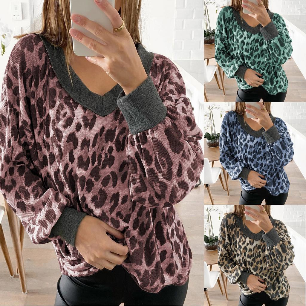 Leopard Print Long Sleeve V-Neck Top main image 1
