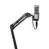 AT2020GM Condenser Microphone XLR Ideal for Video Home Live and Audio-Technica - Streaming, Recording, Podcasts, Commentary, DTM, Gaming, More.