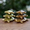 5 Pièces Nouvelle Tortue Miniature Réaliste Simulation Poupée Modèle Créatif Rétro Micro-paysage DIY Succulente Aquascaping Décor Ornements