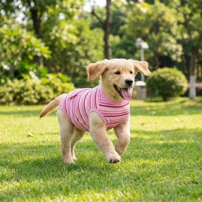 Traje de Esterilización para Perros de Alta Elasticidad Traje Rayado de Recuperación para Perros Herida Abdominal
