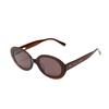 Sunglasses VVD29BR