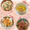 Chobo Dried Cherry Shrimp Taiwan Origin Unsalted Dehydrated Bulk 100g