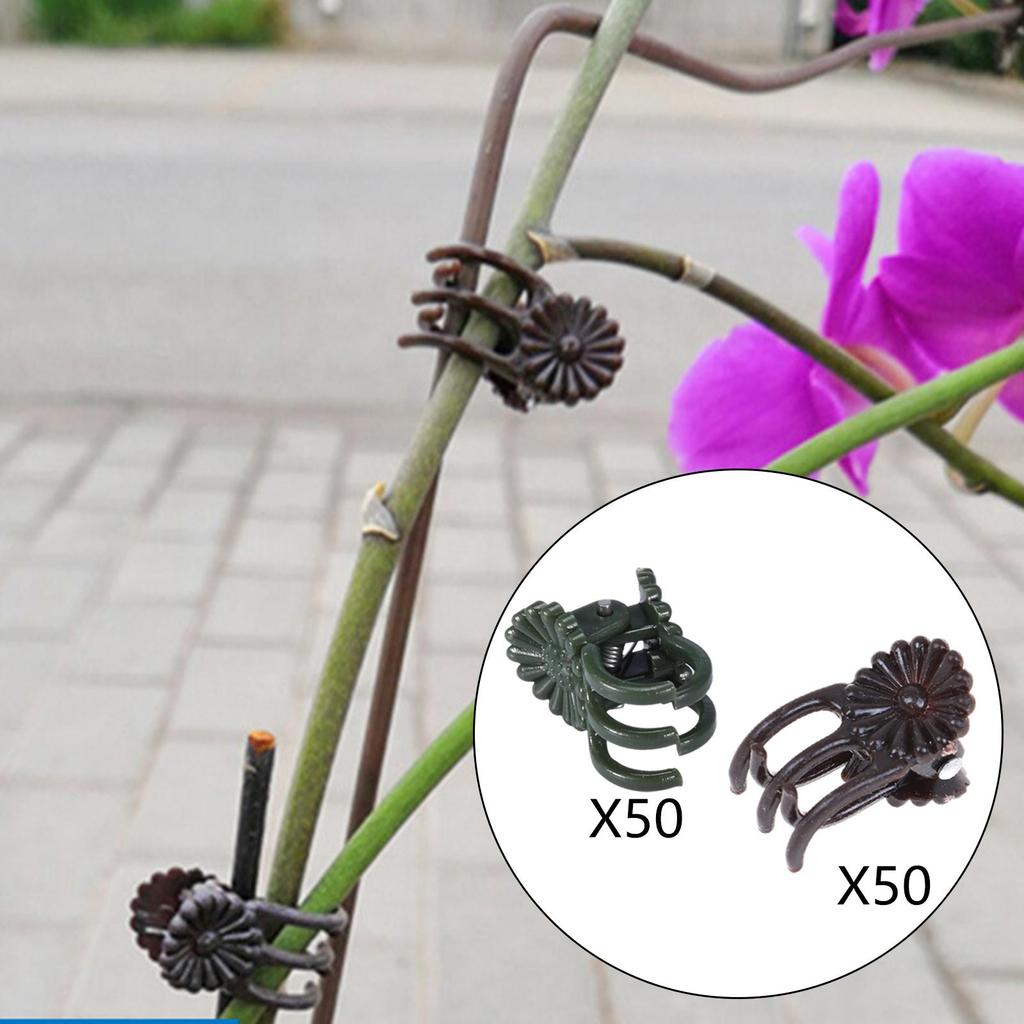 50 Pcs Orchid Clips Clips, Plant Clips for Yard Stem Vines Orchid