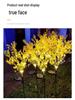 Solar Rapeseed Flower Garden Light for Courtyard, Lawn, Park, and Villa Lighting