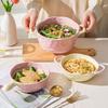 Ins Color Matching Advanced Sense Ceramic Handle Bowl Baking Bowl Atmosphere High Value Instant Noodle Bowl Salad Fruit Yogurt Bowl