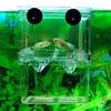 Multifu Fisch Aquarium Hohe Klare Zucht Isolationsbox Haustierbedarf Züchter Becken Doppel Guppy Schlupf Brutkasten Haustier Produkte