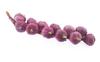 Naissant Garlic Hanging Rope Food Set of Italian Restaurant Supplies White and One Samples, 2, (One Purple)