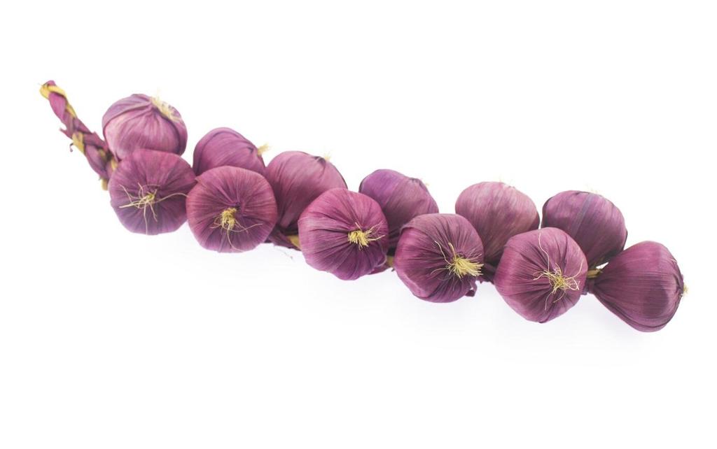 Naissant Garlic Hanging Rope Food Set of Italian Restaurant Supplies White and One Samples, 2, (One Purple)