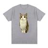 Katze Eule Lustig Meowl Meme Gehirnfäule Grafik T-Shirts Unisex Unisex Kleidung Mode Kurzarm T-Shirt Baumwolle Übergroße T-Shirts